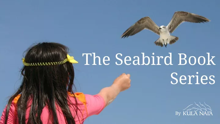 seabird book gofundme